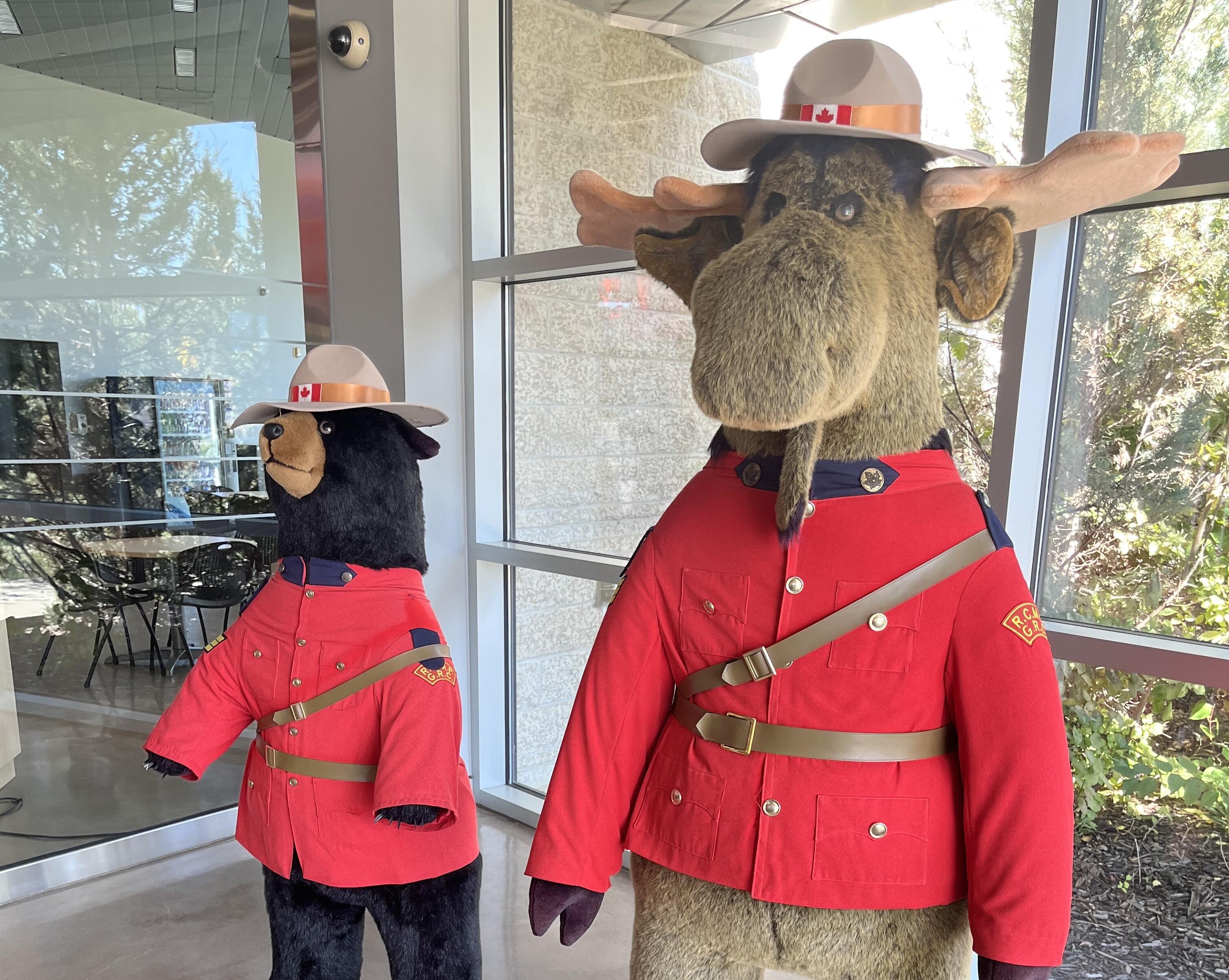 RCMP（トリミング済）.jpg