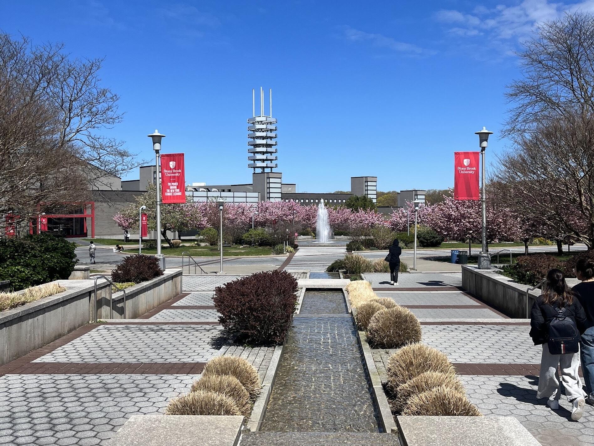 キャンパスの写真、春になると桜がきれい キャンパスの写真、春になると桜がきれい