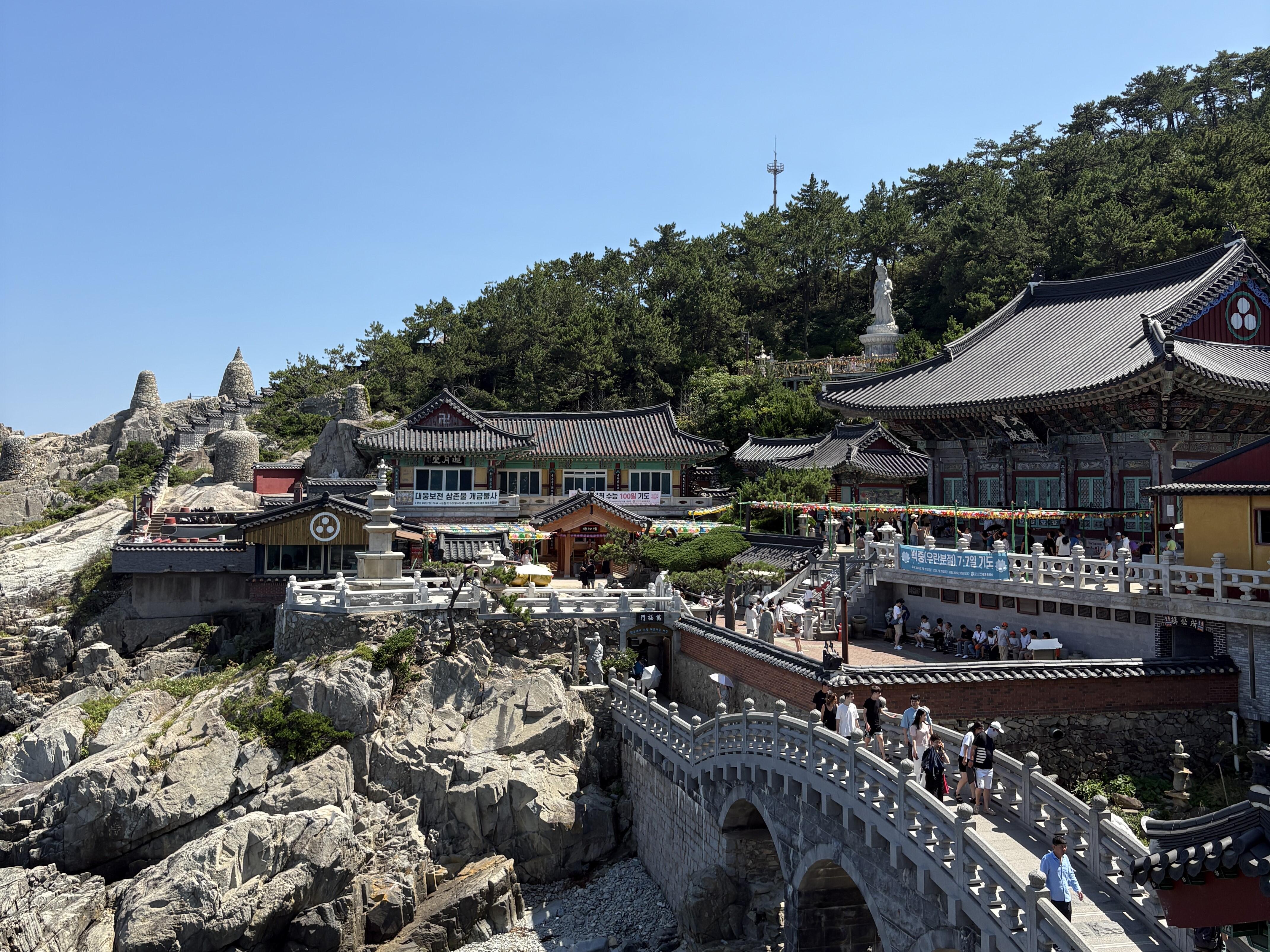 中央大学校_横釜山旅行 中央大学校_横釜山旅行