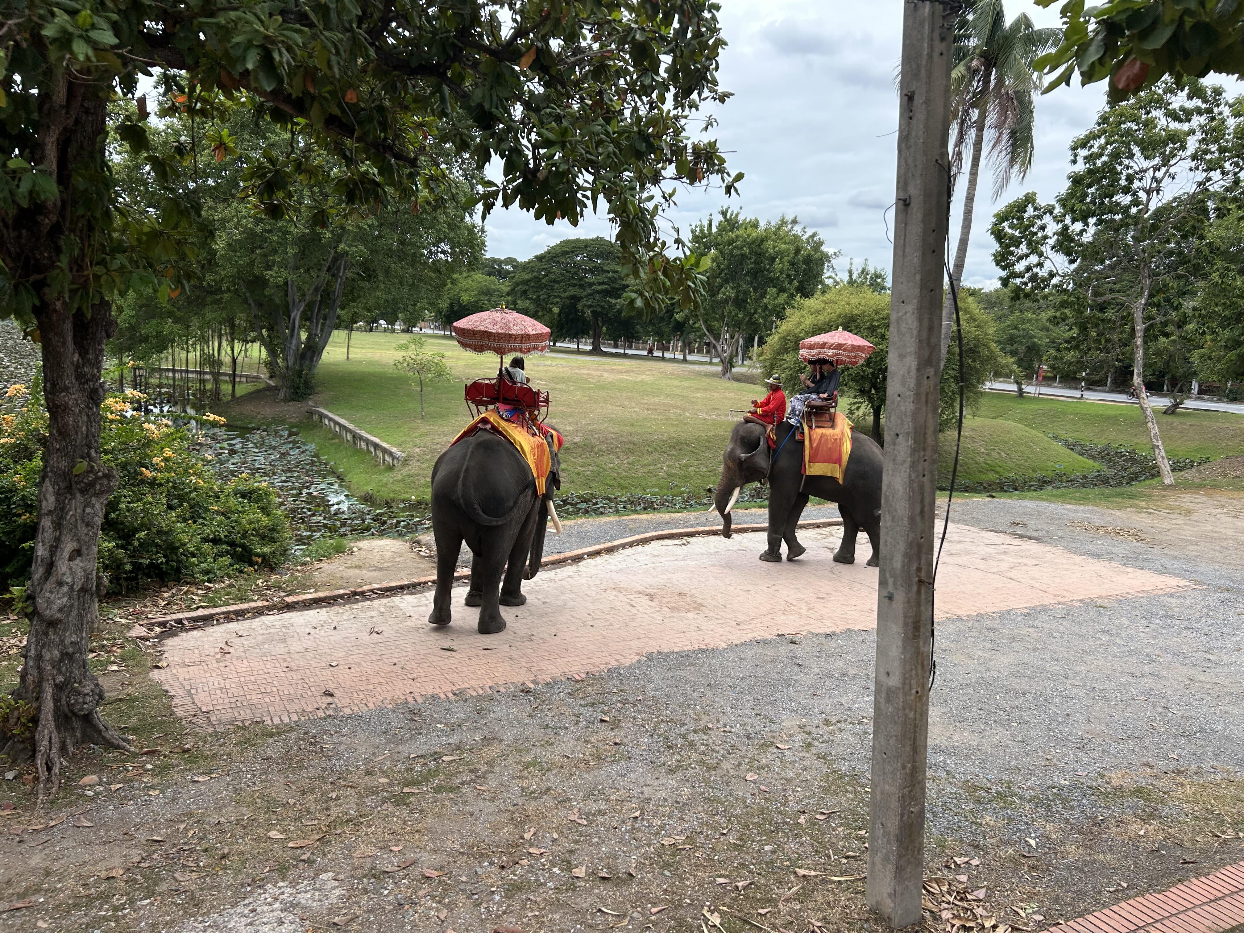 タイフィールド①