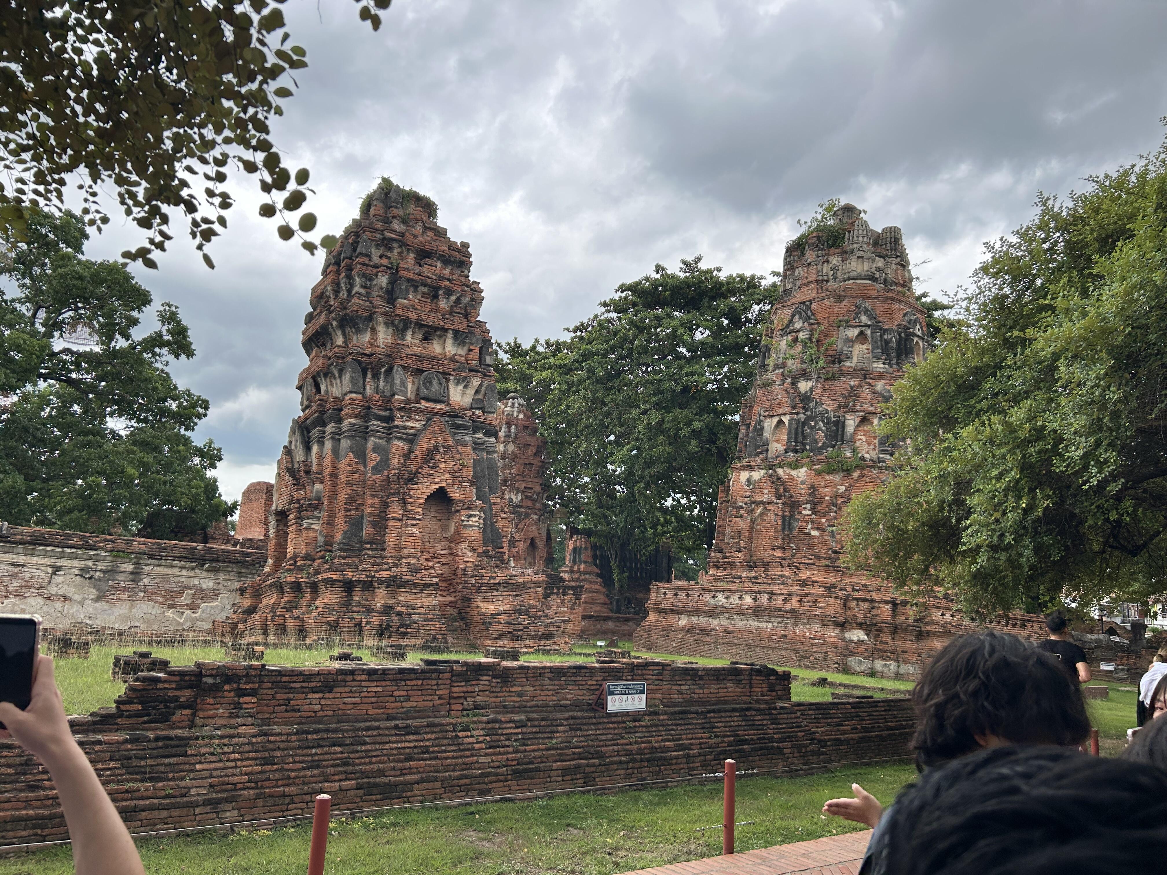 タイフィールド②