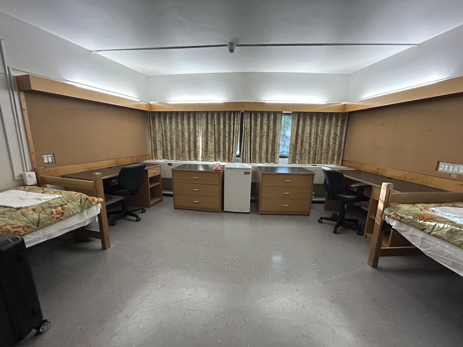 トロントサマー➃