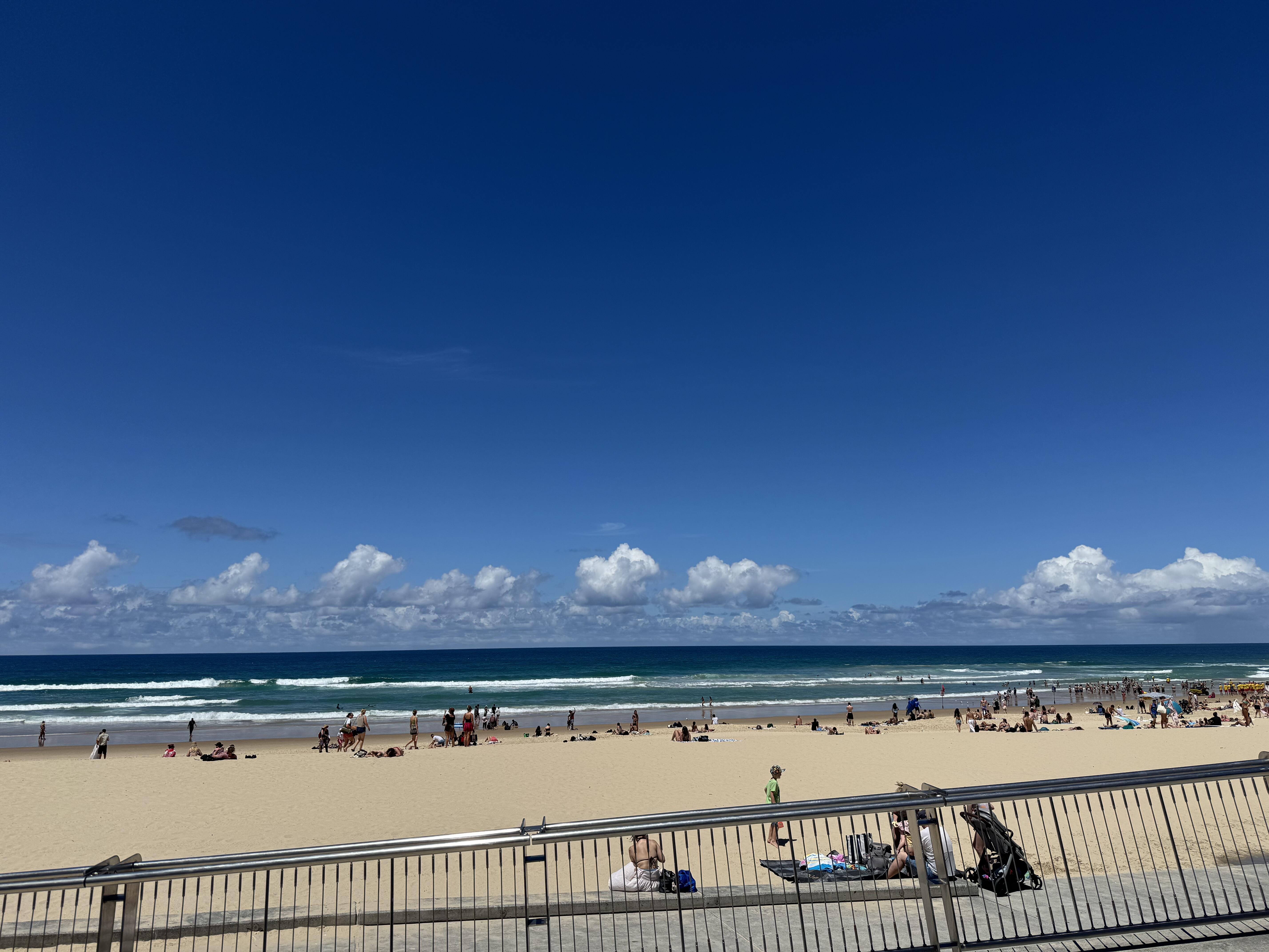 IMG_0238 -.jpeg