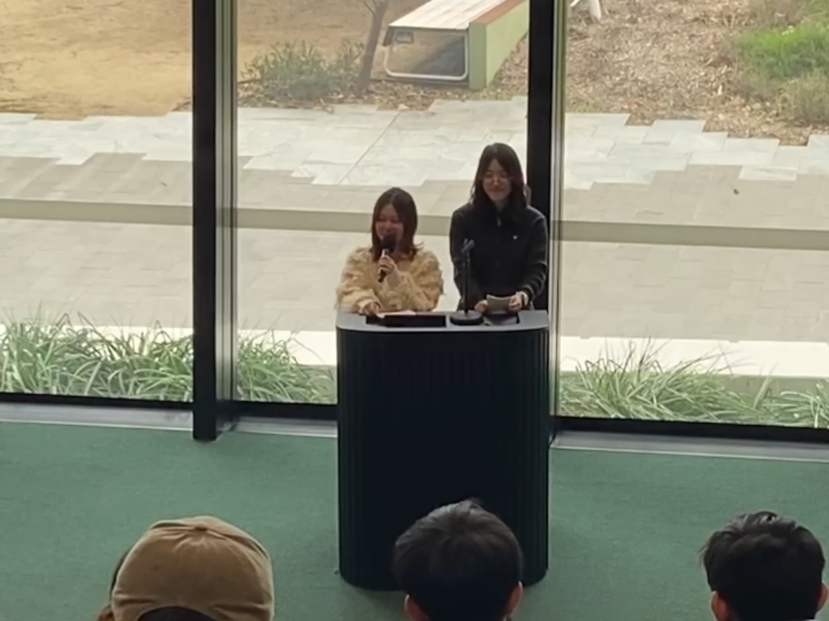 発表 発表