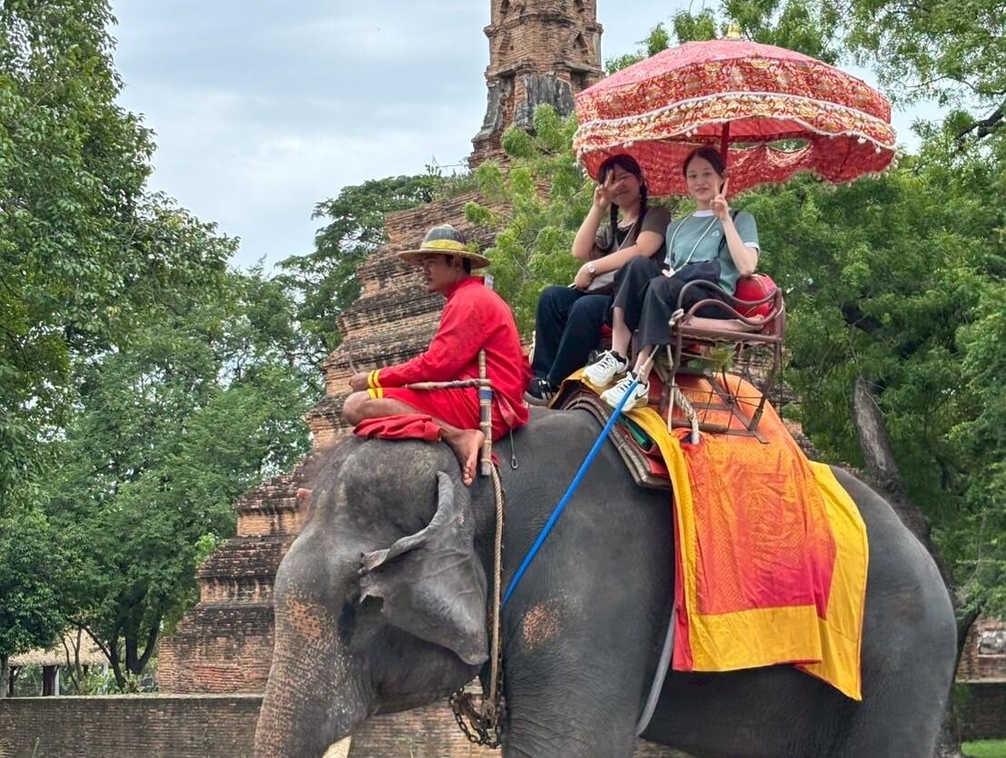 タイフィールド①