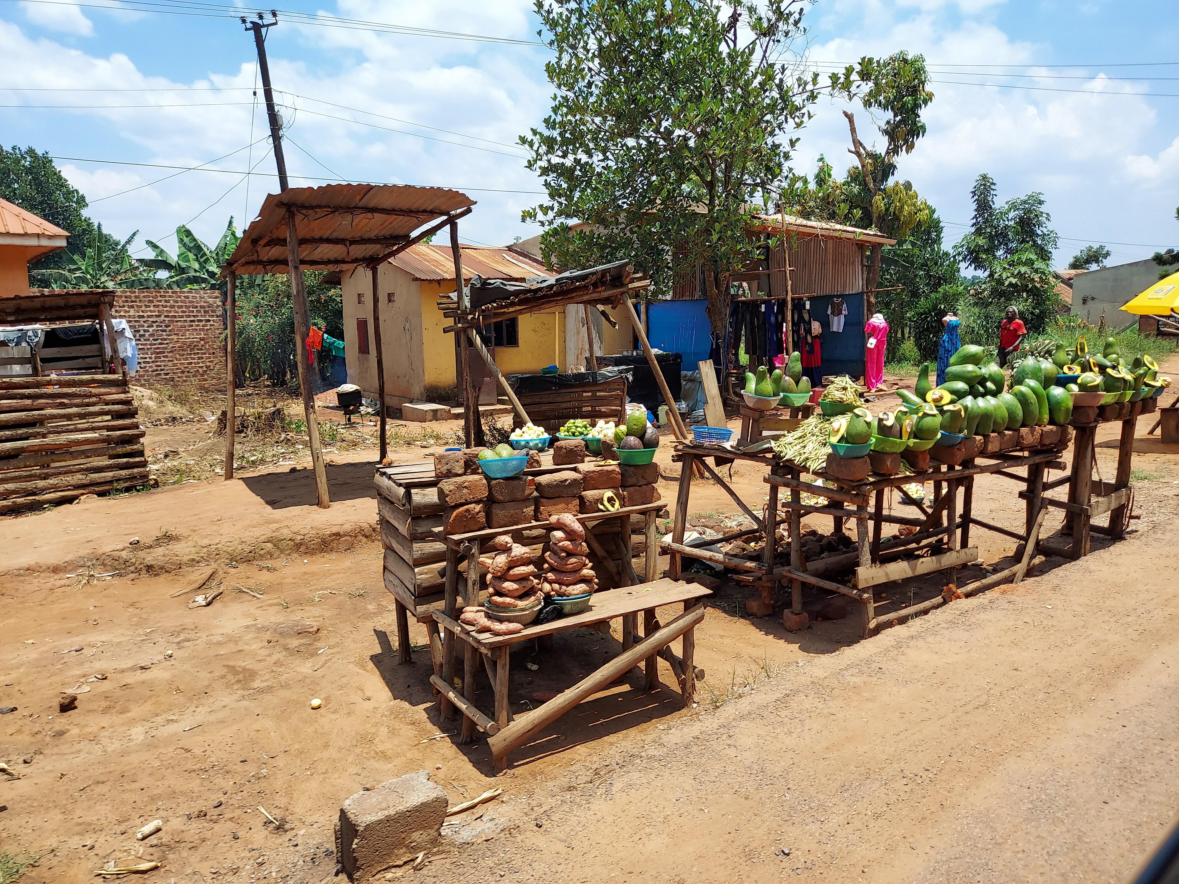 ウガンダ・プログラム